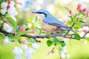 Tomar Namer Jikir Kori Gojol Lyrics