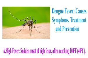 Dengue Fever: Causes, Symptoms, Treatment, and Prevention
